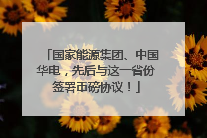 国家能源集团、中国华电，先后与这一省份签署重磅协议！