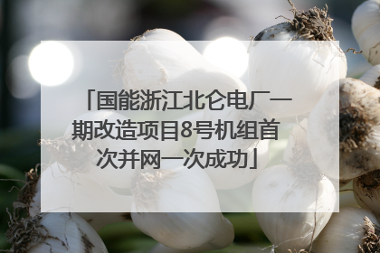 国能浙江北仑电厂一期改造项目8号机组首次并网一次成功