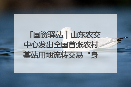 国资驿站｜山东农交中心发出全国首张农村基站用地流转交易“身份证”；“湾区跨境绿运通”上线
