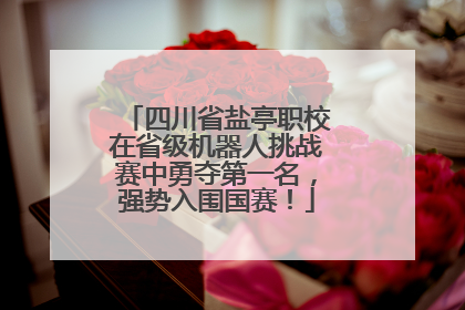 四川省盐亭职校在省级机器人挑战赛中勇夺第一名，强势入围国赛！