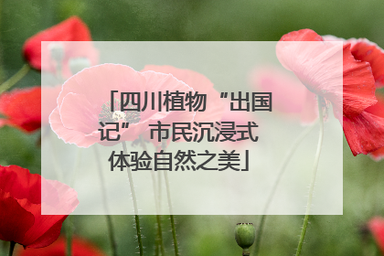 四川植物“出国记” 市民沉浸式体验自然之美