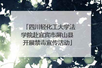 四川轻化工大学法学院赴宜宾市屏山县开展禁毒宣传活动