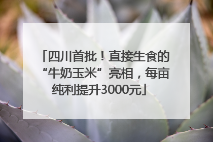 四川首批！直接生食的“牛奶玉米”亮相，每亩纯利提升3000元