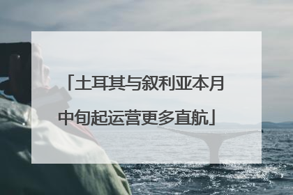 土耳其与叙利亚本月中旬起运营更多直航