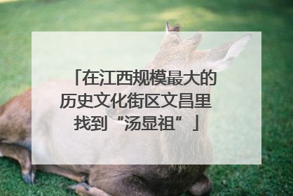 在江西规模最大的历史文化街区文昌里找到“汤显祖”