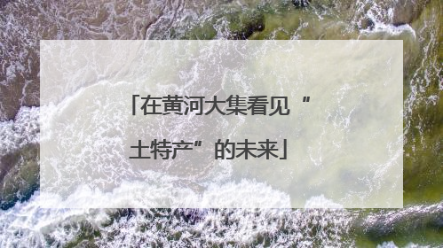 在黄河大集看见“土特产”的未来