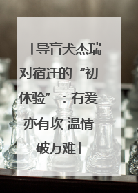 导盲犬杰瑞对宿迁的“初体验”：有爱亦有坎 温情破万难