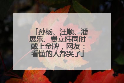 孙杨、汪顺、潘展乐、费立纬同时戴上金牌，网友：看懂的人都哭了