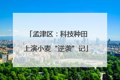孟津区：科技种田 上演小麦“逆袭”记