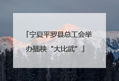宁夏平罗县总工会举办插秧“大比武”