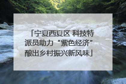 宁夏西夏区 科技特派员助力“紫色经济”酿出乡村振兴新风味