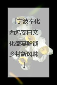 宁波奉化西坞茭白文化盛宴解锁乡村新风味