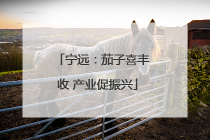 宁远：茄子喜丰收 产业促振兴