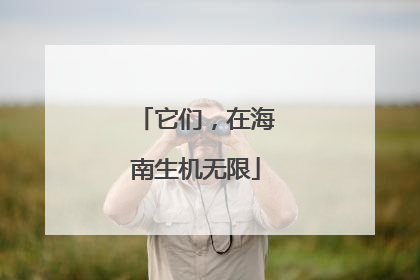 它们，在海南生机无限
