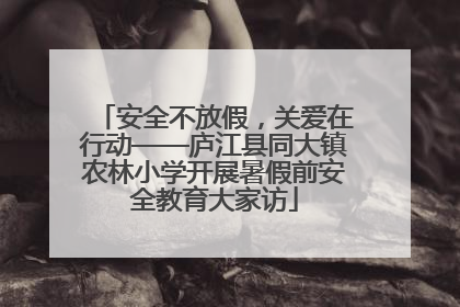 安全不放假，关爱在行动——庐江县同大镇农林小学开展暑假前安全教育大家访
