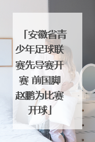 安徽省青少年足球联赛先导赛开赛 前国脚赵鹏为比赛开球