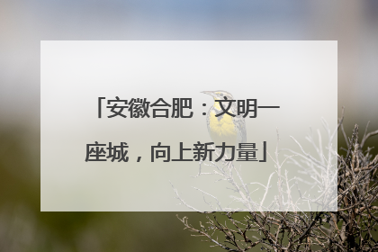 安徽合肥：文明一座城，向上新力量