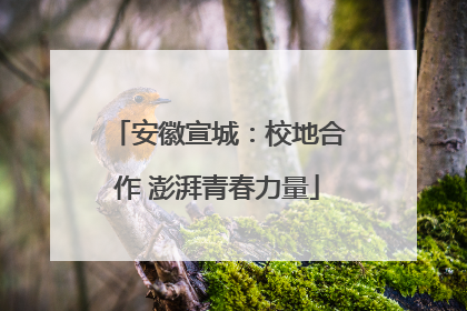安徽宣城：校地合作 澎湃青春力量