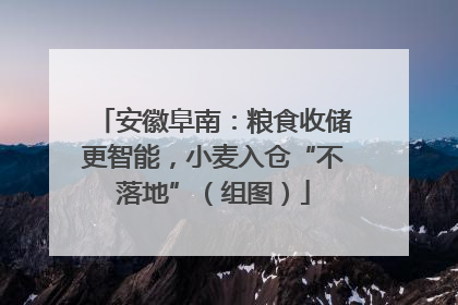 安徽阜南：粮食收储更智能，小麦入仓“不落地”（组图）