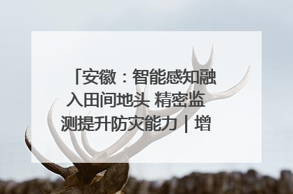 安徽：智能感知融入田间地头 精密监测提升防灾能力｜增发国债气象项目落地见效系列报道