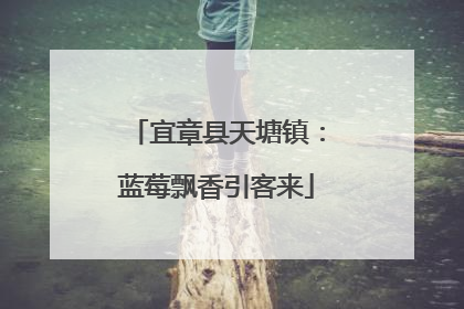 宜章县天塘镇：蓝莓飘香引客来