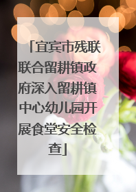 宜宾市残联联合留耕镇政府深入留耕镇中心幼儿园开展食堂安全检查