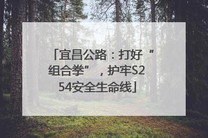 宜昌公路：打好“组合拳”，护牢S254安全生命线