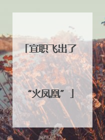 宜职飞出了“火凤凰”