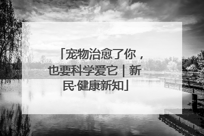 宠物治愈了你，也要科学爱它｜新民·健康新知