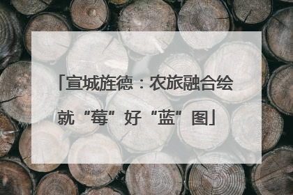 宣城旌德：农旅融合绘就“莓”好“蓝”图