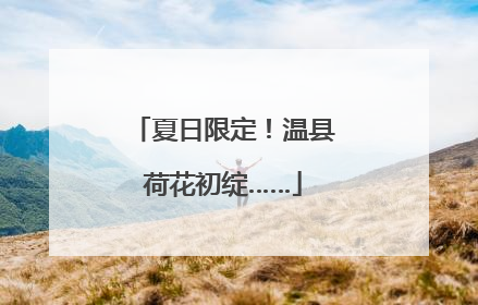 夏日限定！温县荷花初绽……