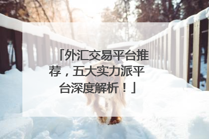 外汇交易平台推荐，五大实力派平台深度解析！