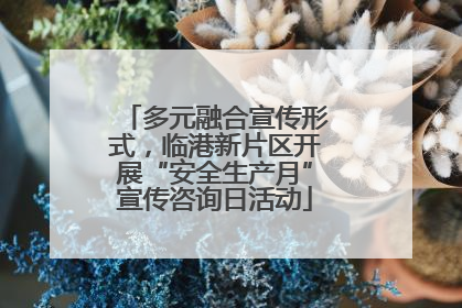 多元融合宣传形式，临港新片区开展“安全生产月”宣传咨询日活动