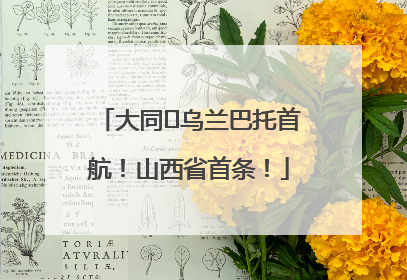 大同⇌乌兰巴托首航！山西省首条！