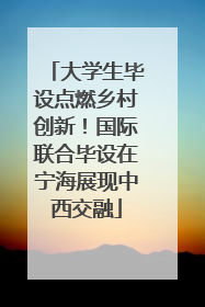 大学生毕设点燃乡村创新！国际联合毕设在宁海展现中西交融