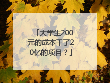 大学生200元的成本干了20亿的项目？
