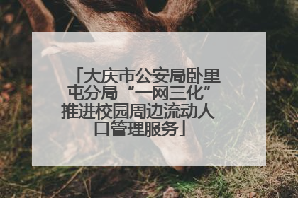 大庆市公安局卧里屯分局“一网三化”推进校园周边流动人口管理服务