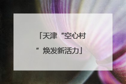 天津“空心村”焕发新活力