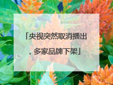 央视突然取消播出，多家品牌下架