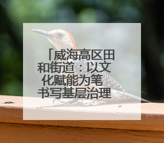 威海高区田和街道：以文化赋能为笔 书写基层治理幸福答卷