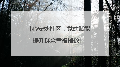 心安处社区：党建赋能 提升群众幸福指数
