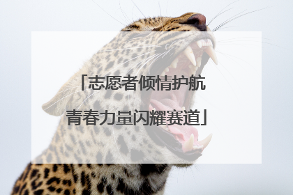 志愿者倾情护航 青春力量闪耀赛道