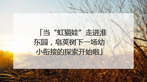 当“虹猫娃”走进淮东园，皂荚树下一场幼小衔接的探索开始啦