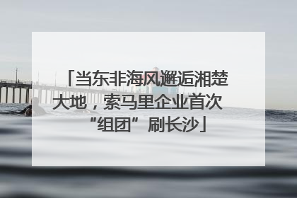 当东非海风邂逅湘楚大地，索马里企业首次“组团”刷长沙
