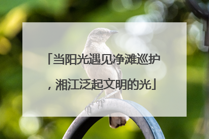 当阳光遇见净滩巡护，湘江泛起文明的光