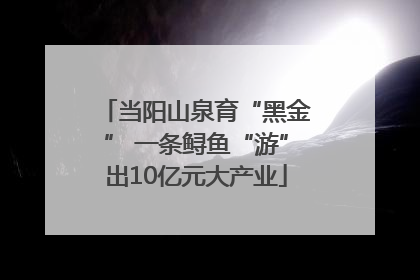 当阳山泉育“黑金” 一条鲟鱼“游”出10亿元大产业