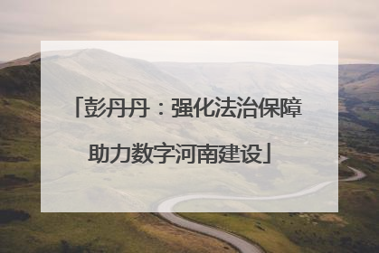 彭丹丹：强化法治保障 助力数字河南建设