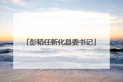 彭韬任新化县委书记