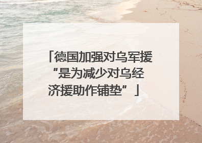 德国加强对乌军援 “是为减少对乌经济援助作铺垫”