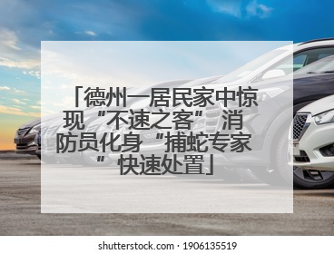 德州一居民家中惊现“不速之客” 消防员化身“捕蛇专家”快速处置